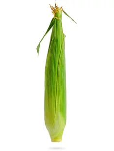 Kukurica Kukurica